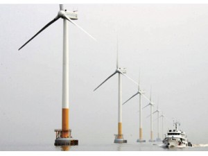 上海东海风电